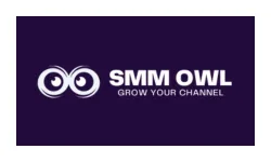 SMM Owl logo